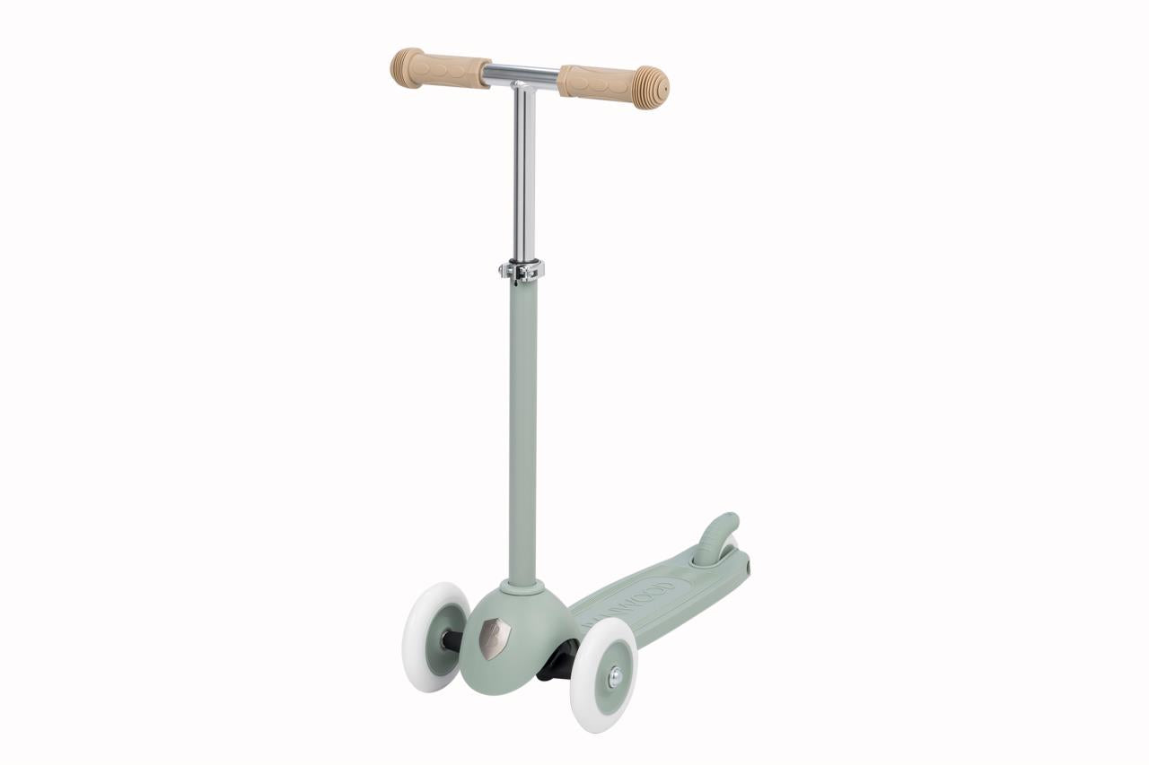 Eco Scooter Teal