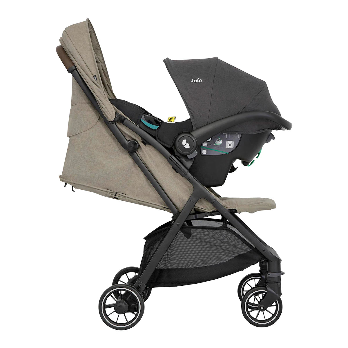 Buggy Pact Pro Oak